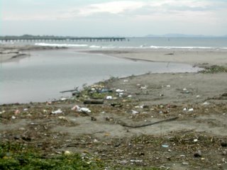 trash in Tela, Honduras beach