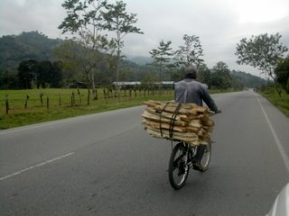 man carrying wood on bicycle