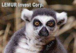 Lemur Invest Corp.