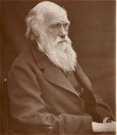 1878年的達爾文