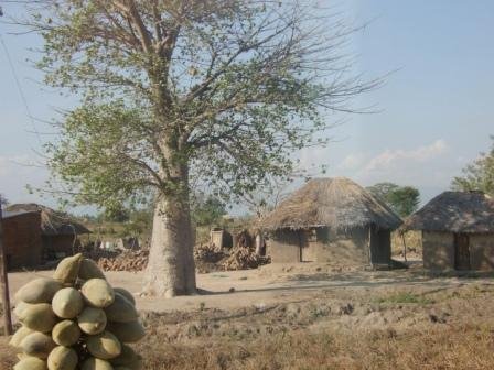 Common Village Scene South Central Malawi