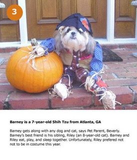 Halloween For Pets