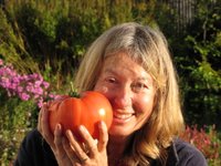 Val with giant tomato which weighed one kilo. These 'beefsteak' tomatoes taste incredibly good too!
