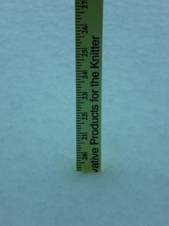 19 inches of snow on the back deck