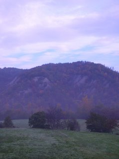 colline autunno bosco natura parsaggio calanchi