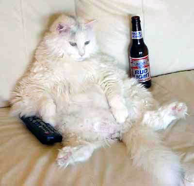 watch tv and zone out on the couch