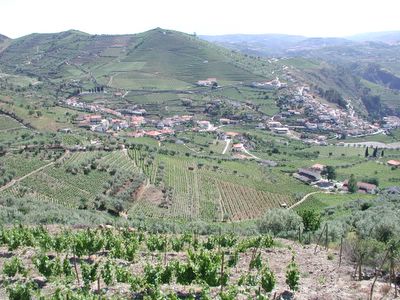 Our view of the town of Valdigem and surrounding vineyards as we neared the Douro [1]