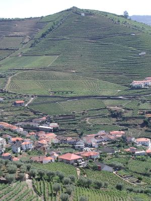 Our view of the town of Valdigem and surrounding vineyards as we neared the Douro [3]