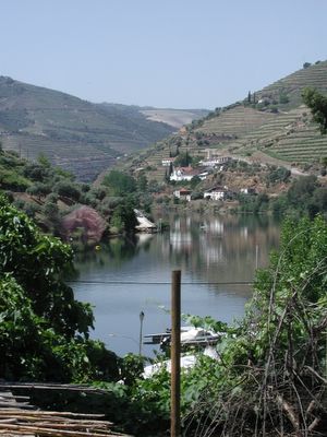 Photograph of Quinta de la Rosa taken from the railway station in Pinhao (with the Rio Douro in the foreground)