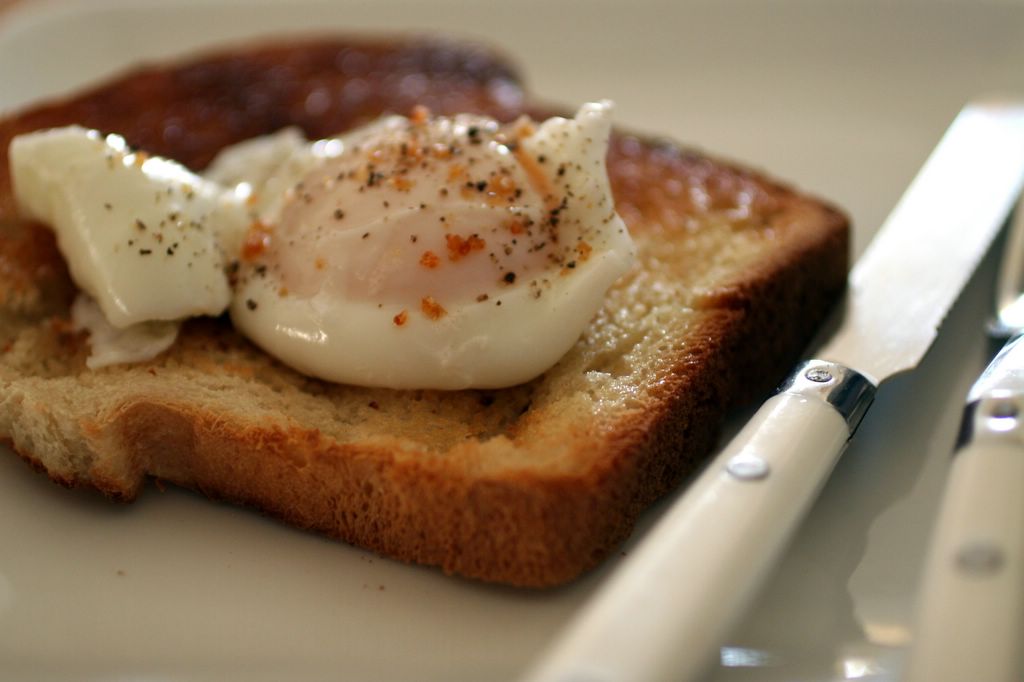 photograph picture simple poached egg on toast