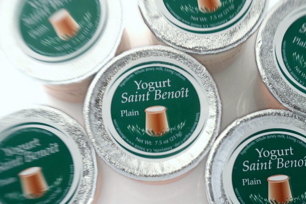 photograph picture St Benoit plain yoghurt yogurt containers