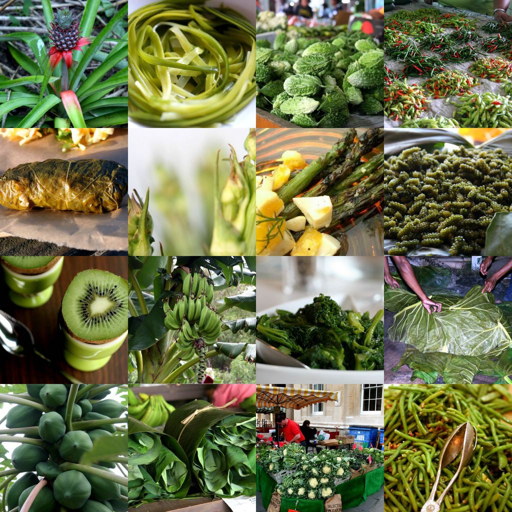 photograph picture collage green foods