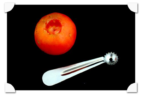 photograph picture of a a tomato corer