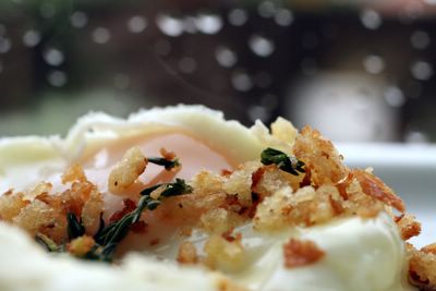 photograph picture of cocotte-cooked egg with reduced cream and thyme breadcrumbs, comfort on a rainy stormy day