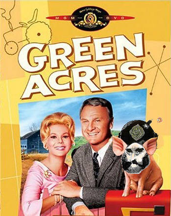 Green Acres featuring Mohammed the pig