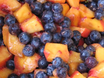 Farmgirl Fare: Just Peachy Blueberry Breakfast Bars Recipe with Oat ...
