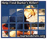 Find Burke's Killer!