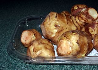 Knobs of Jerusalem artichokes, straight from the package