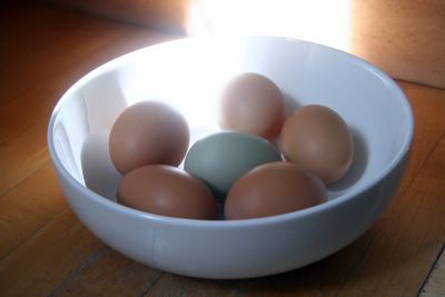 beautiful fresh eggs from Marin Sun Farms