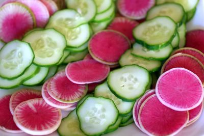 photograph picture of some watermelon radishes from Heirloom organics and some cucumber 