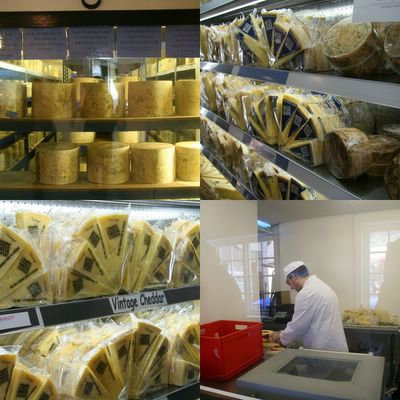 photograph picture of the finished Cheddar Cheeses at the Cheddar Gorge Cheese Company dairy Somerset, the West Country, England