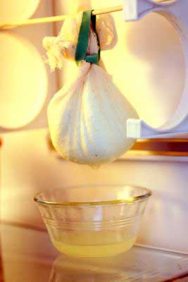 photograph picture of St Benoit plain yoghurt being strained in the fridge overnight