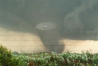 Saucer in Tornado Cropped Lit