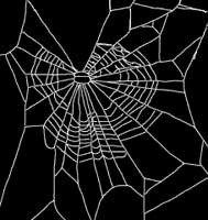 A stoned Spider's web
