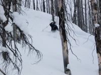 Skiing the Enchanted Forest at Chatter Creek
