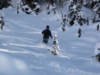 Skiing the glades on the East Ridge at Chatter Creek