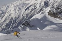 Powder skiing on the Vertebrae Glacier