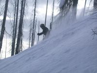 Tree Skiing in an Old Burn on East Ridge at Chatter Creek Cat Skiing