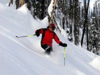 Tree Skiing on the East Ridge at Chatter Creek
