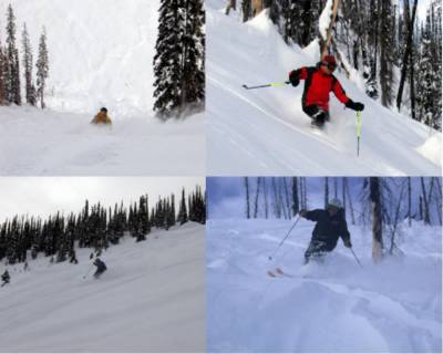 Cat Skiing at lower elevations