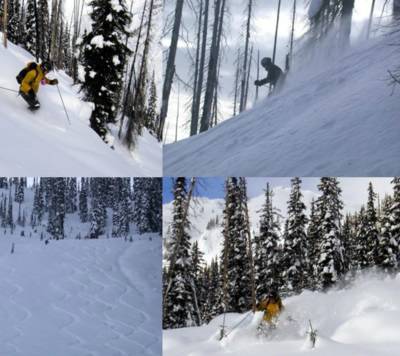Tree Skiing by Snowcat