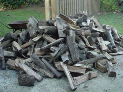 Big Messy Log Pile