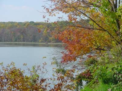 Potomac View