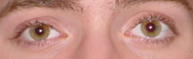 Greg's eyes