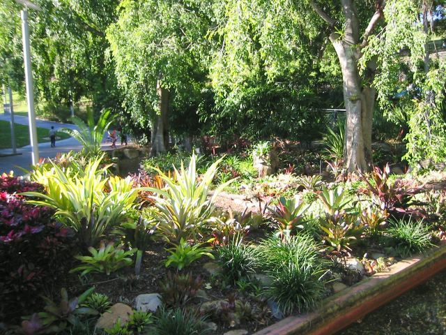 NZLANDSCAPES. Landscape Design Blog. New Zealand. NZ.: Bromeliad Garden ... - IMG 3506