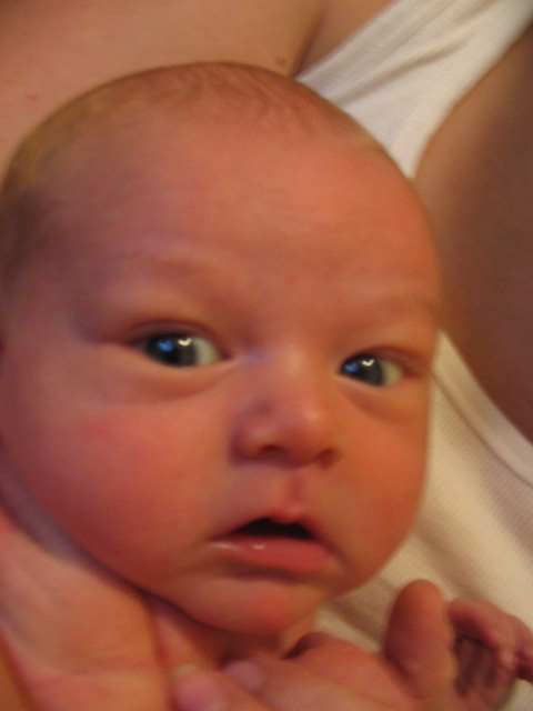 Mr. Round Head