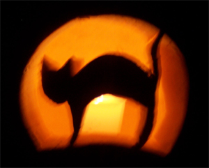 Silhouette of a Halloween cat against a moon