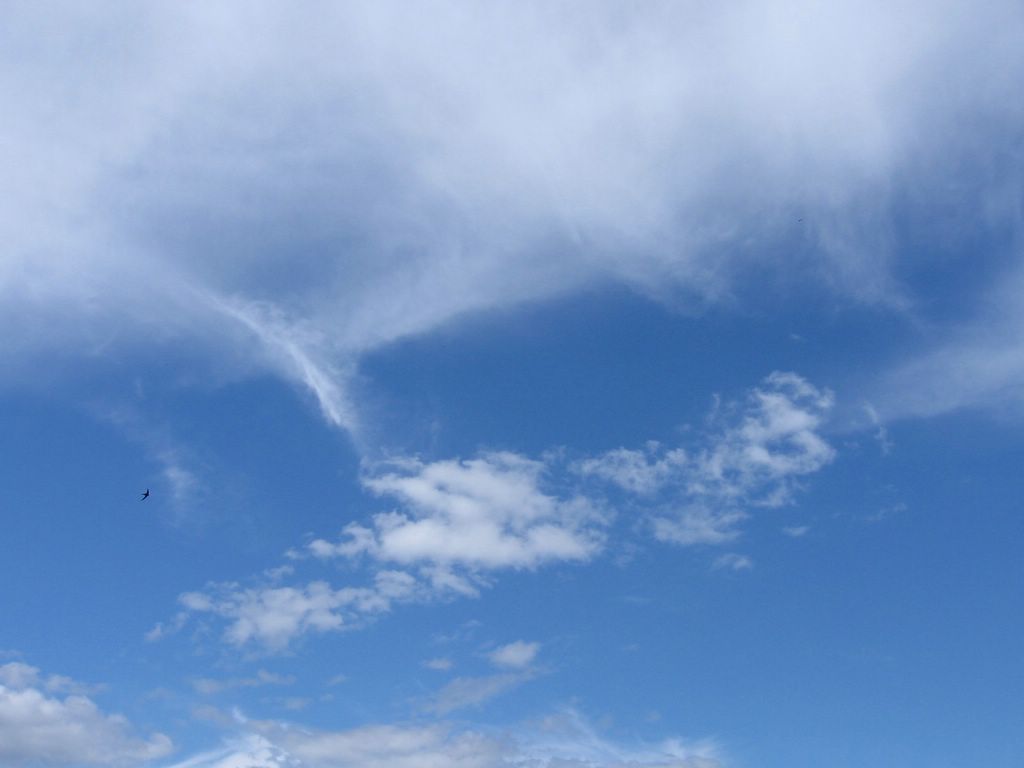 Летели облака swanky