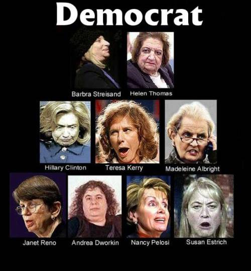 http://photos1.blogger.com/img/93/6320/640/Hot%20Democrat%20Babes.jpg