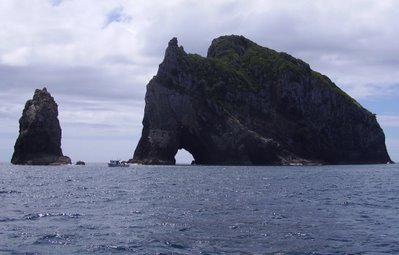 "Hole in the rock" off Cape Brett