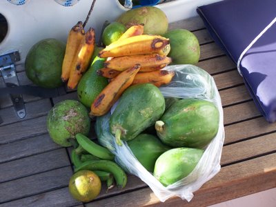 Fruit gathering bounty