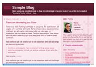 old Blogger classic Thisaway Rose template 