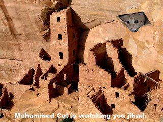 mohammed cat jihad mahomet 