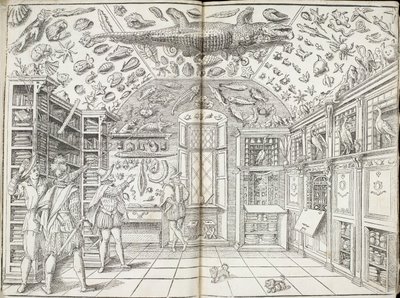 Ferrante Imperato 'Dell'historia naturale' 1599