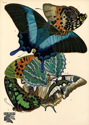 insect prints in art deco style
