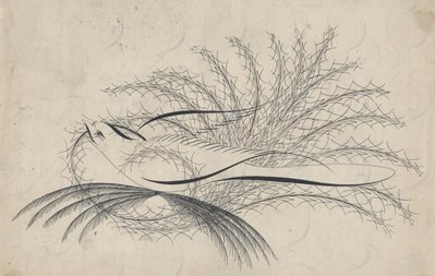 bird calligraphy from IAMPETH